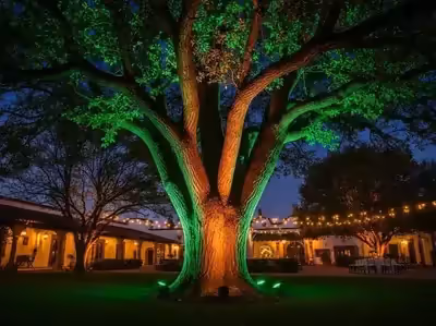 Uplighter LED con estaca para iluminacion de árboles