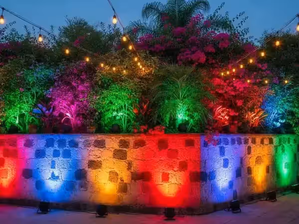 Jardín con plantas y muro en varios colores RGB para fiesta tropical