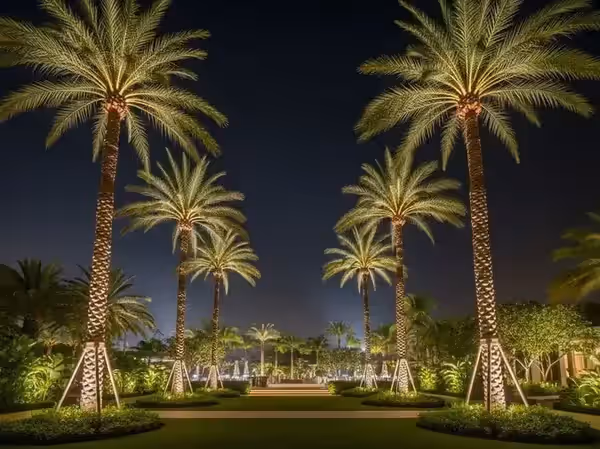 Paseo de jardín con palmeras encendidas desde la base al anochecer