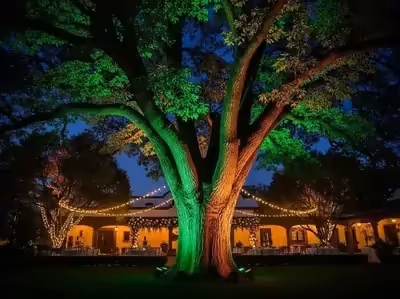 Iluminación para eventos en jardines de Tlalpan